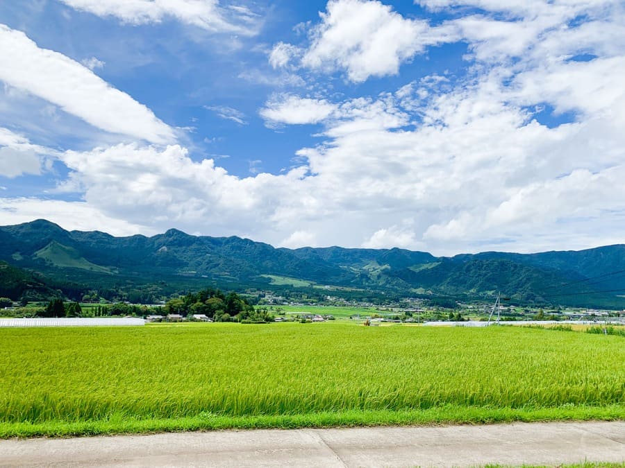 【熊本】阿蘇・箱石峠の絶景をゆったり楽しむ。無茶をしない大人の快走路