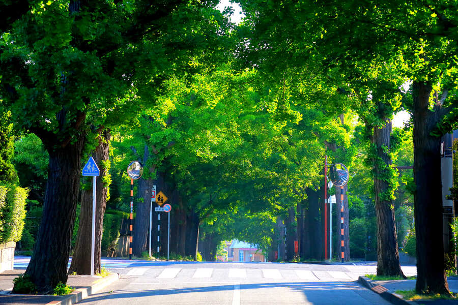 【大分】一般道で味わう「やまなみハイウェイ」。大型バイクが重く感じ始めたあなたへ